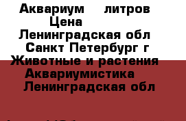 Аквариум 60 литров › Цена ­ 6 500 - Ленинградская обл., Санкт-Петербург г. Животные и растения » Аквариумистика   . Ленинградская обл.